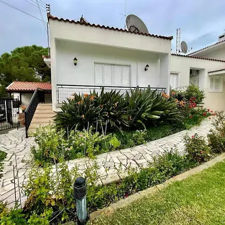 Comfortable Corporate In The Heart Of The Aiantos By Platform 357 Διαμέρισμα Λευκωσία